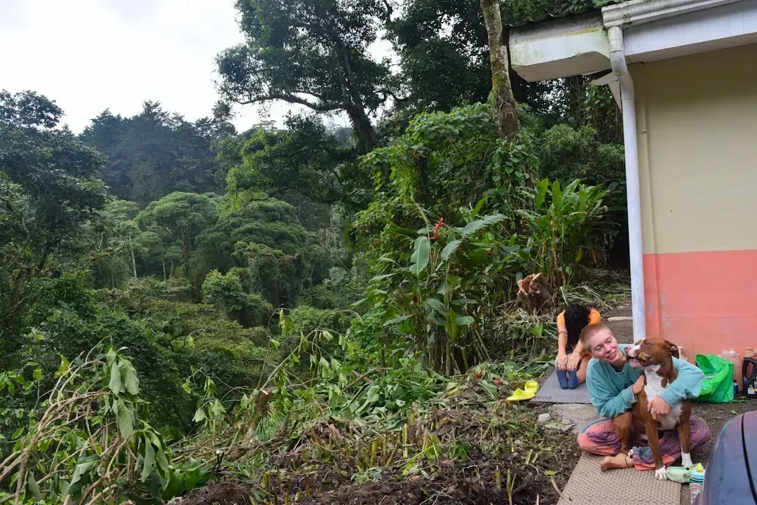 4. Costa Rica: Pura Vida Is a Lifestyle, Not Just a Phrase (Image Credits: Unsplash)