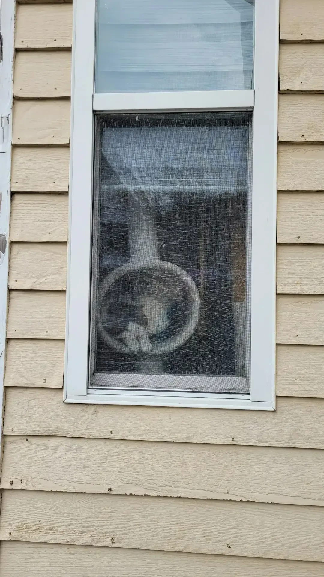 Windows That No Longer Seal Properly (Image Credits: Unsplash)