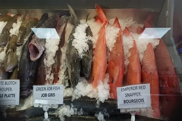 Frozen Fish Performs Better in Blind Taste Tests (Image Credits: Wikimedia)