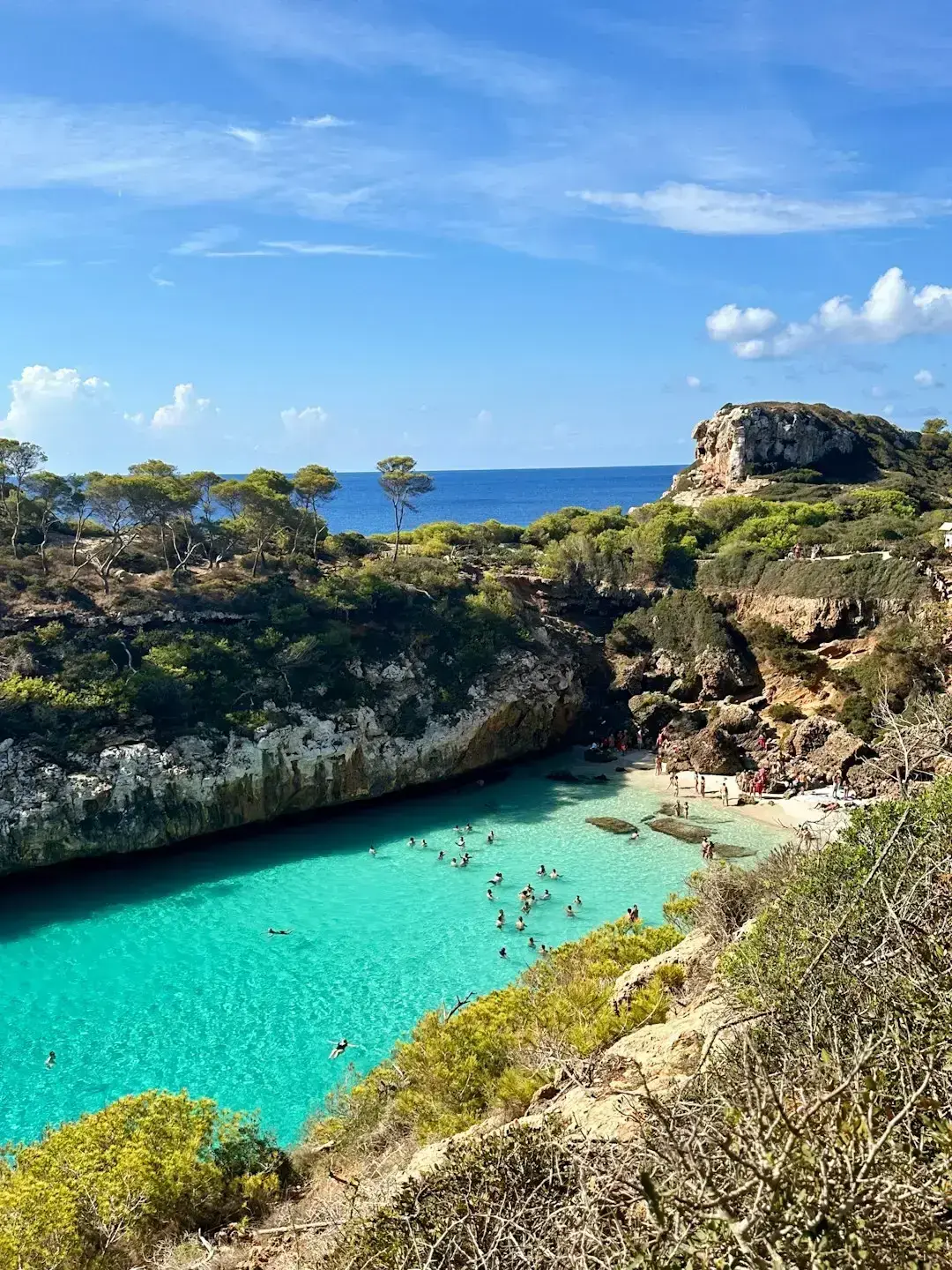 Mallorca, Spain: Locals Block Tour Buses (Image Credits: Unsplash)