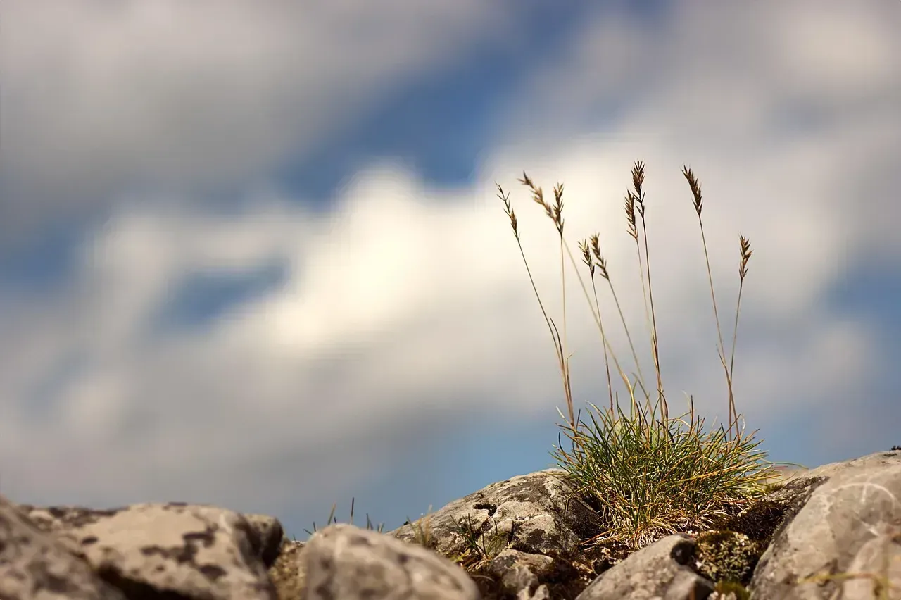 5. Attempting to Seed Clouds Without NOAA Reporting (Image Credits: Pixabay)