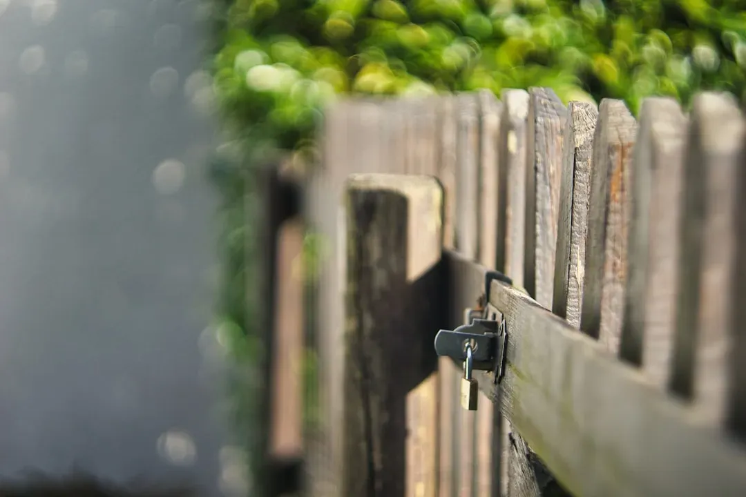 Setting Boundaries as an Act of Self-Preservation (Image Credits: Unsplash)