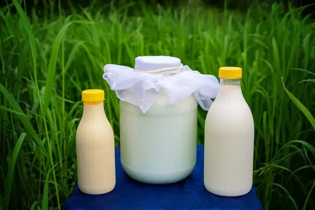 Pacific Northwest Raw Milk Products (Image Credits: Unsplash)
