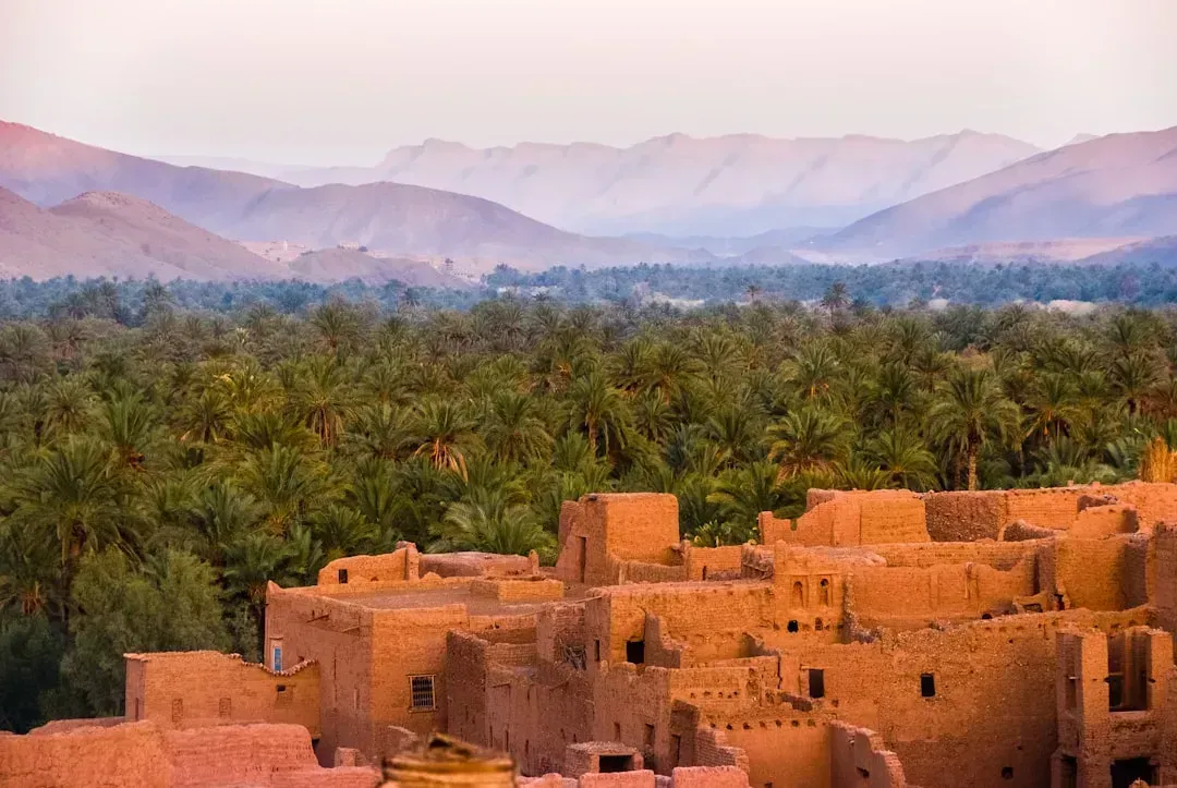 Morocco: Where Instagram Dreams Meet Aggressive Reality (Image Credits: Unsplash)