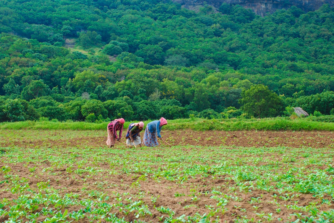 Romania Shows Economic Challenges Despite High Numbers (Image Credits: Unsplash)