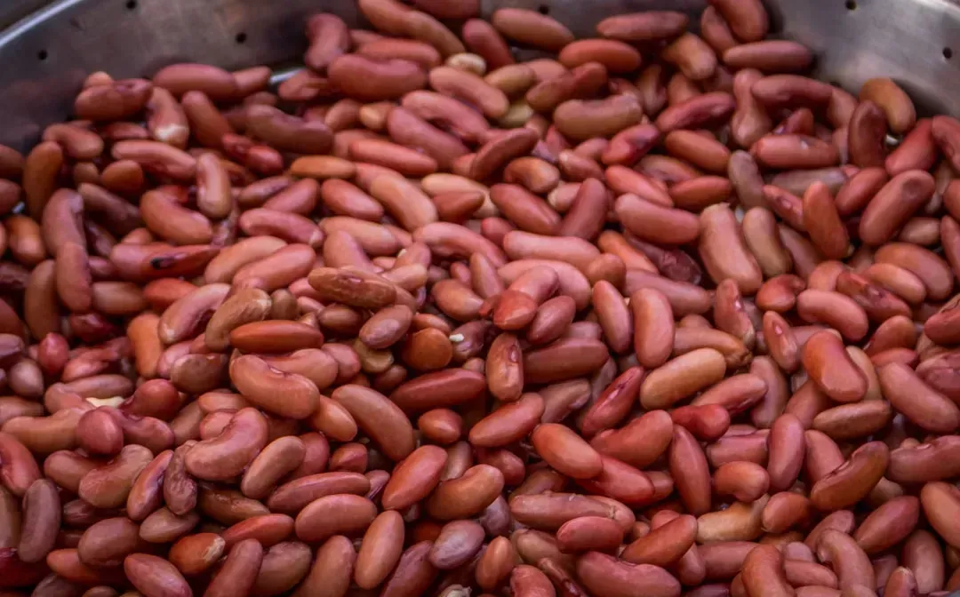 Dried Beans (Image Credits: Unsplash)