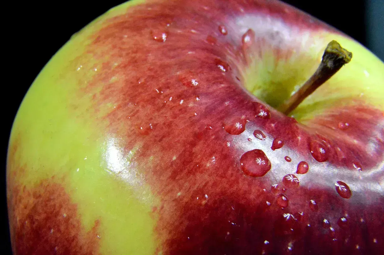 Pectin: The Unsung Hero of Digestive Health (Image Credits: Pixabay)