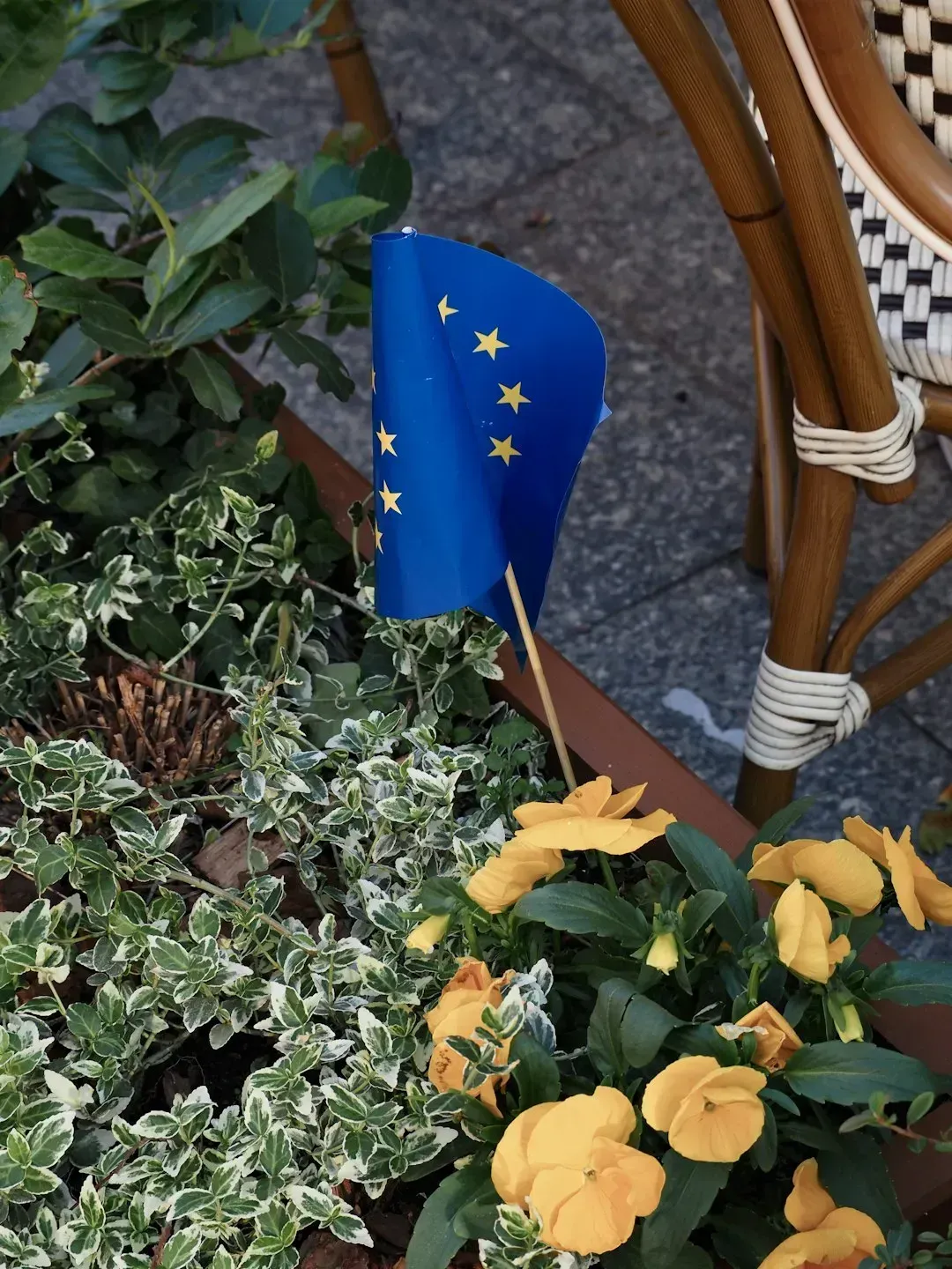 Europe Has Become the Hotspot for Grandparent-Grandchild Adventures (Image Credits: Unsplash)