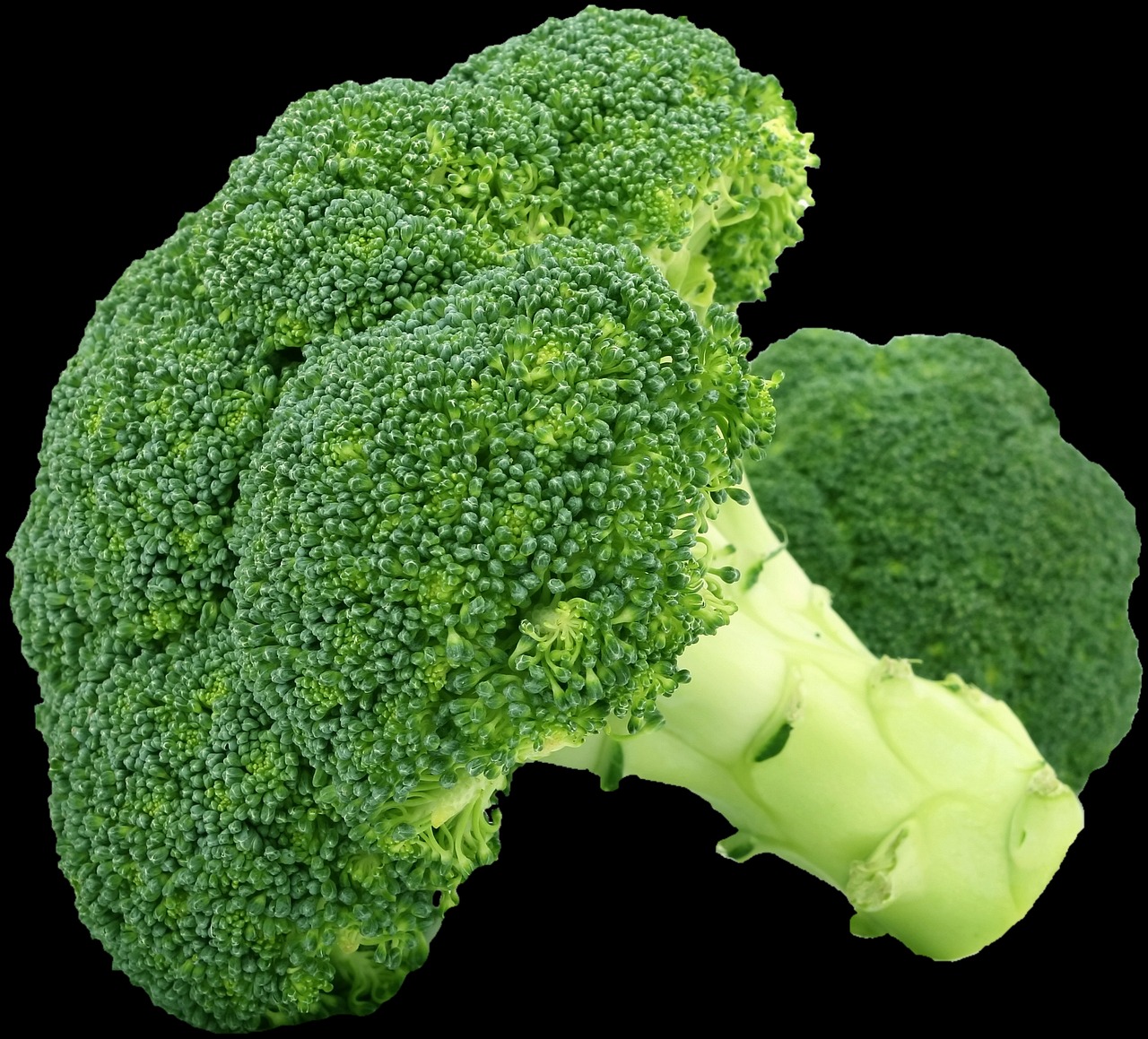 Broccoli - The Cruciferous Cancer Fighter (image credits: pixabay)