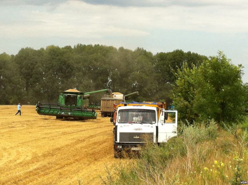 China's Strategic Wheat Import Operations (Image Credits: By (VOA/J. Brooke), Public domain, https://commons.wikimedia.org/w/index.php?curid=20445334)