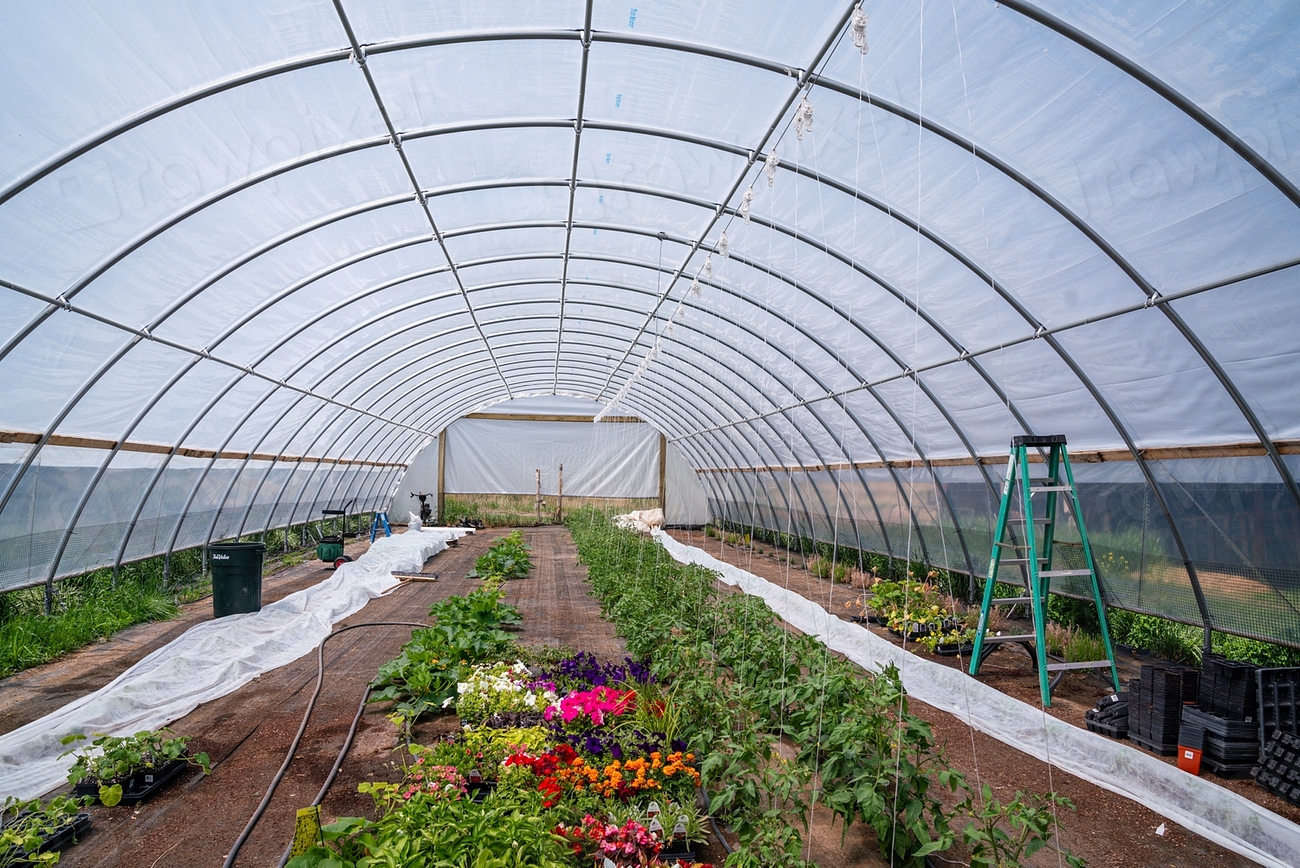 Finland Balances Environmental Protection with Food Security (Image Credits: Rawpixel)