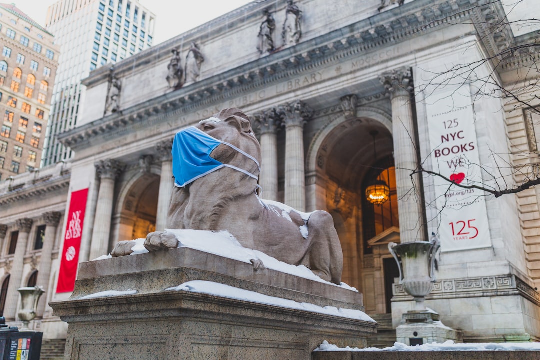Maximizing Educational Value (image credits: unsplash)