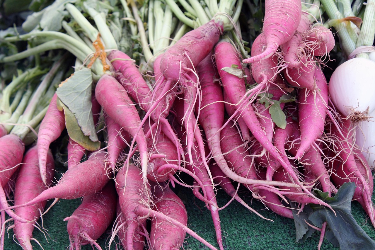 Purple Dragon Carrots: The Antioxidant Powerhouse (Image Credits: Pixabay)