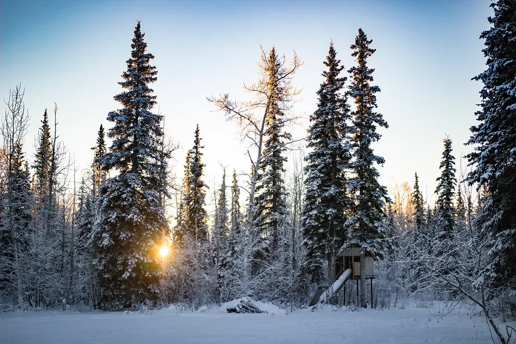 8. Alaska: Remote, Expensive, and Isolating (Image Credits: Flickr)