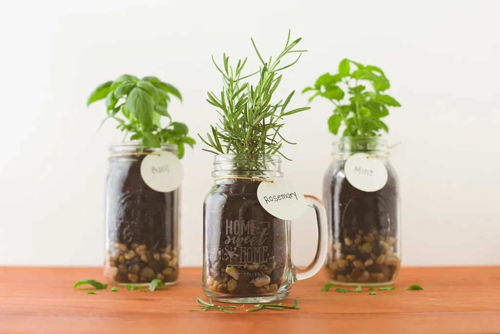 Small scale herb and plant containers (Shutterfly Ideas, Flickr, CC BY-SA 2.0)