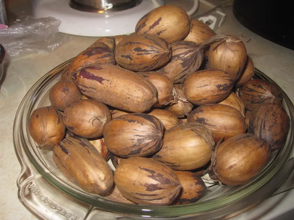 9. Pecans (Image Credits: Flickr)