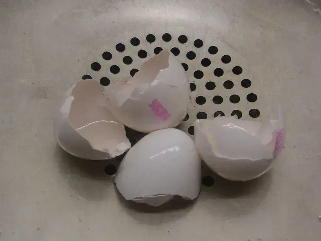 Food Scraps and Eggshells (Image Credits: Flickr)