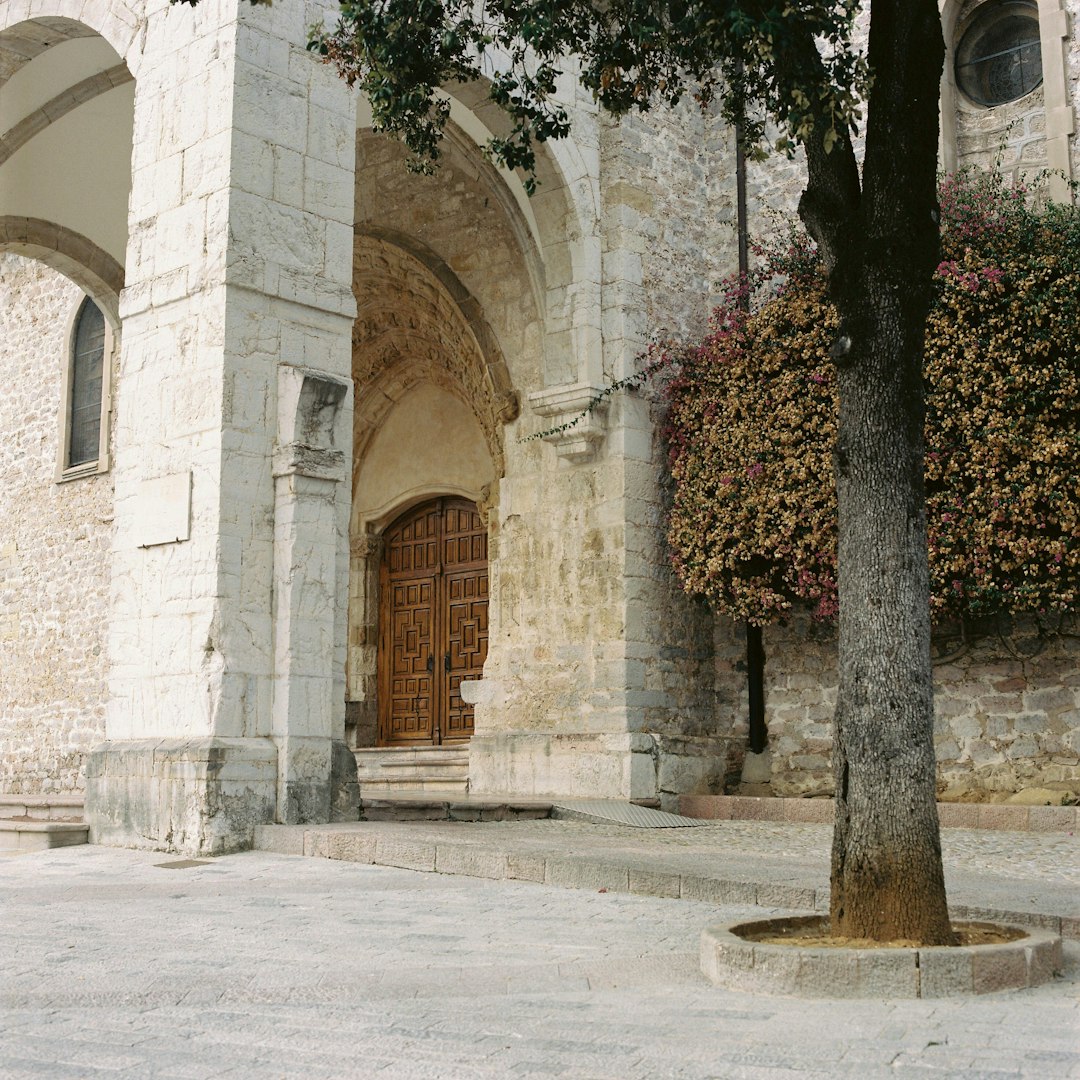 Final Resting Place In Assisi (image credits: unsplash)