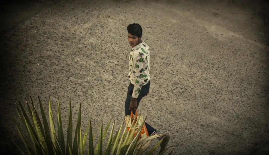 1. Go for a Daily Walk (Image Credits: Unsplash)