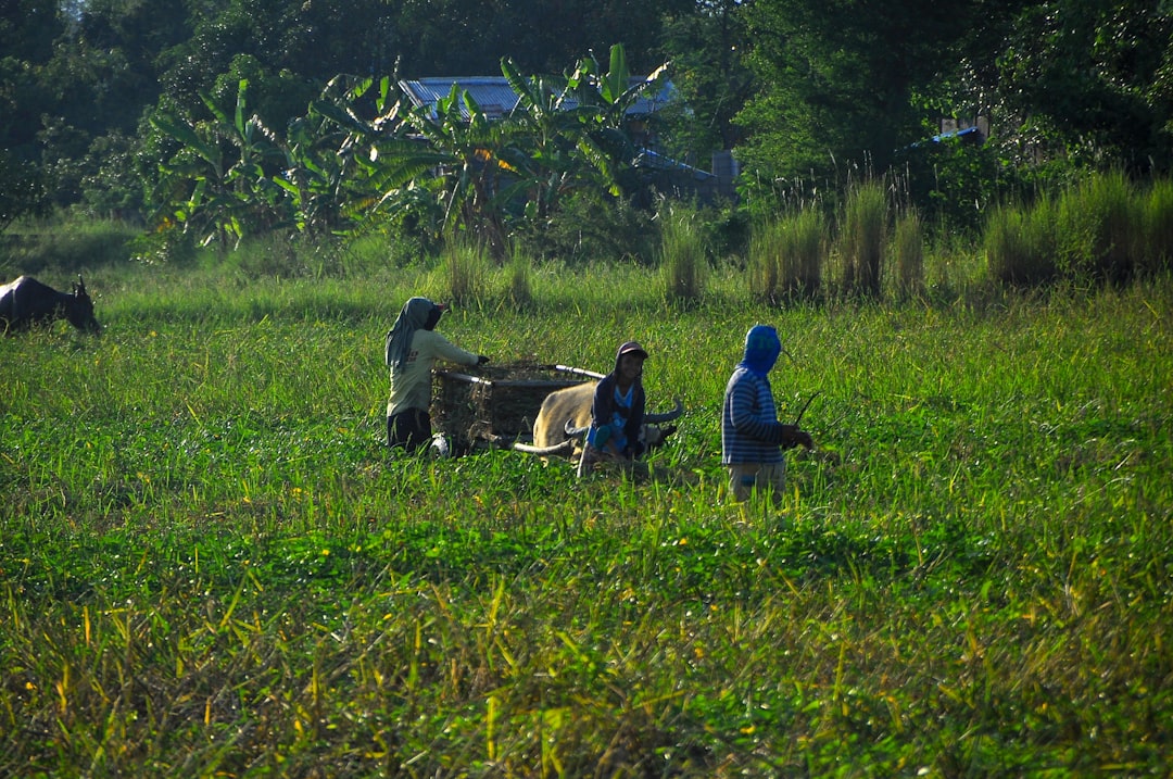 Congo and Equatorial Guinea's Resource Paradox (Image Credits: Unsplash)