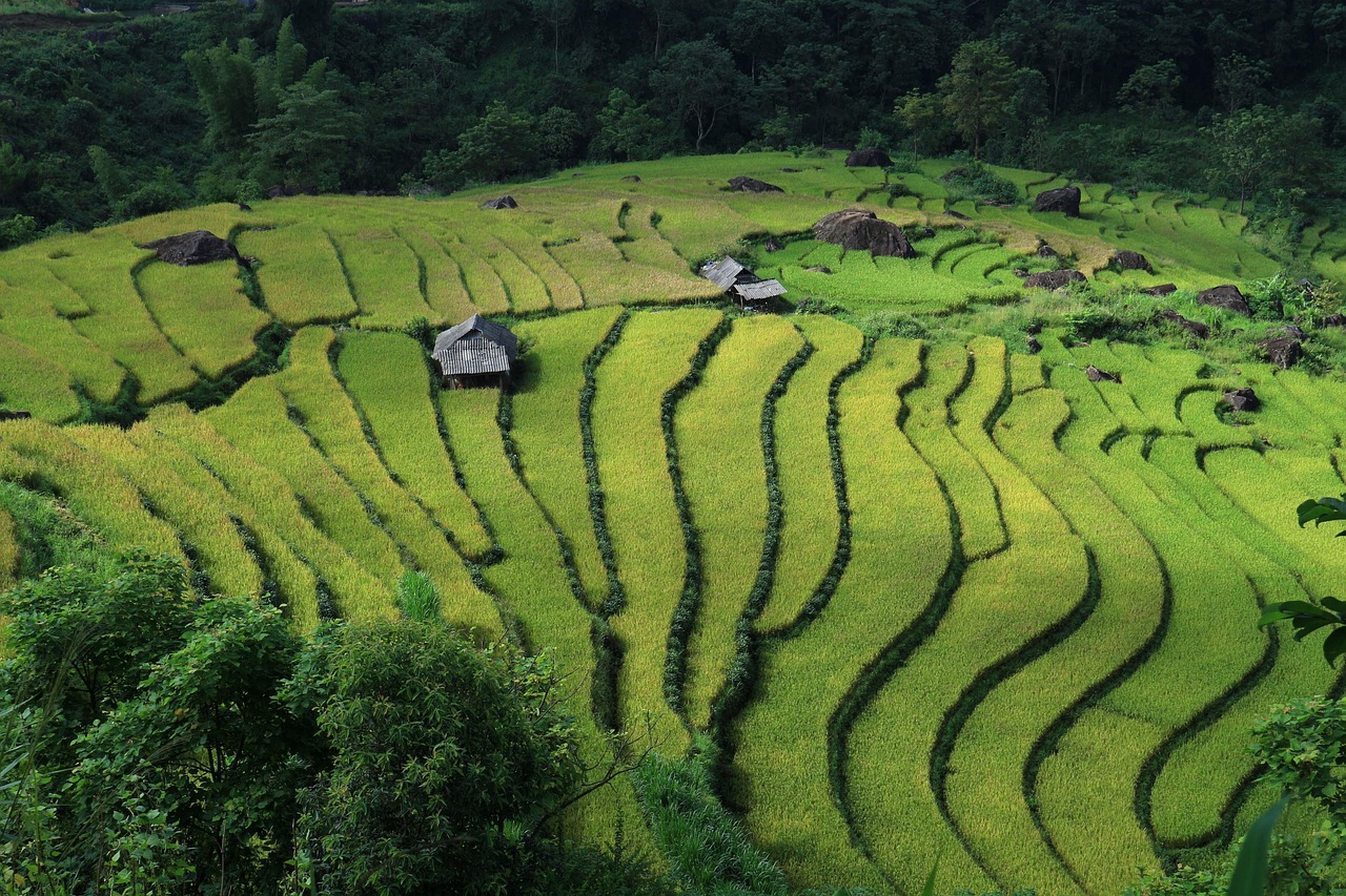 Vietnam - The Ultimate Budget Paradise for American Expats (Image Credits: Unsplash)