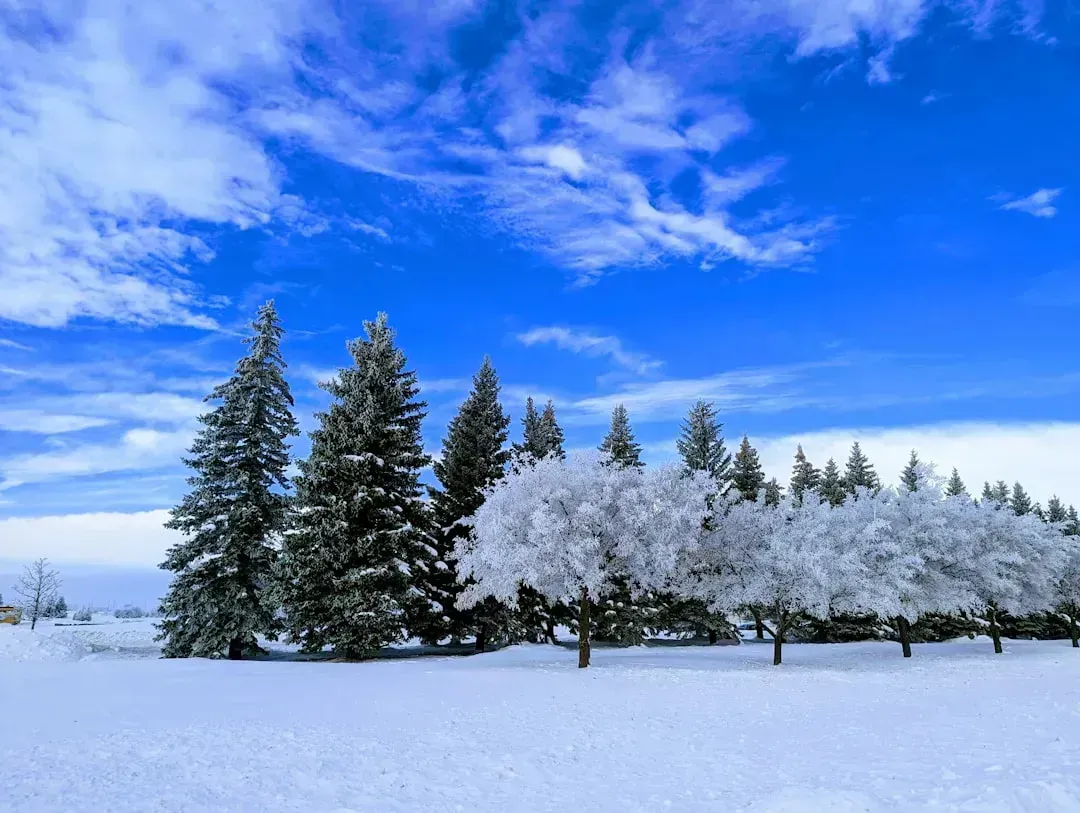 Fargo, North Dakota: Cold Climate, Warm Savings (Image Credits: Unsplash)
