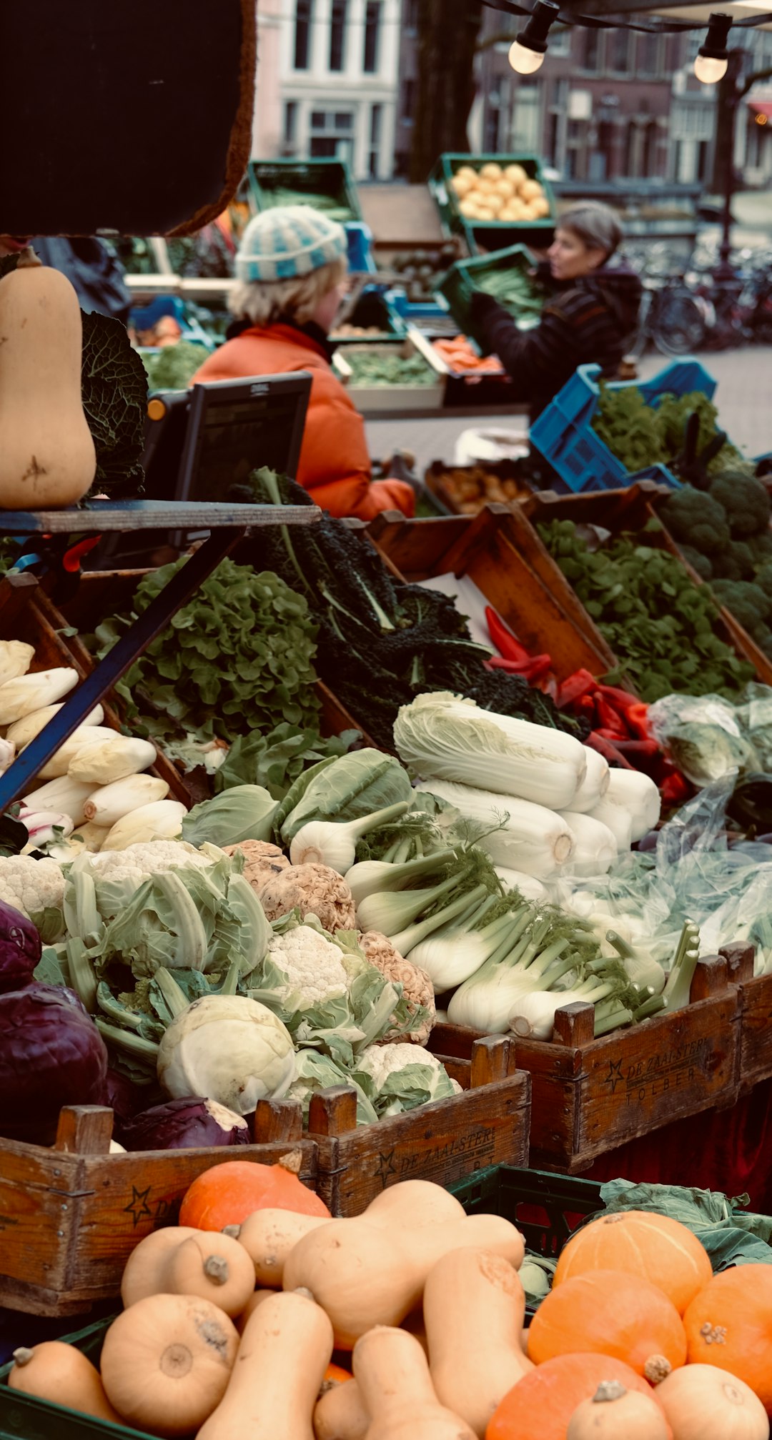 Environmental Adaptation and Sustainability (image credits: unsplash)