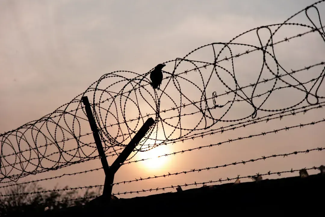 Installing Barbed Wire or Electric Fencing in Residential Areas (Image Credits: Unsplash)