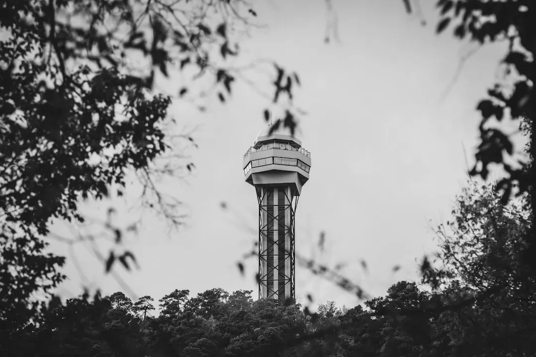 7. Arkansas - Beautiful Nature, Broken Systems (Image Credits: Unsplash)