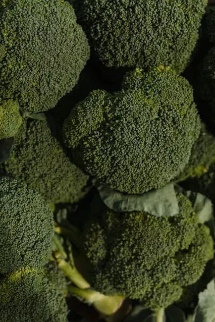 3. Broccoli - The Cruciferous Champion (Image Credits: Pexels)