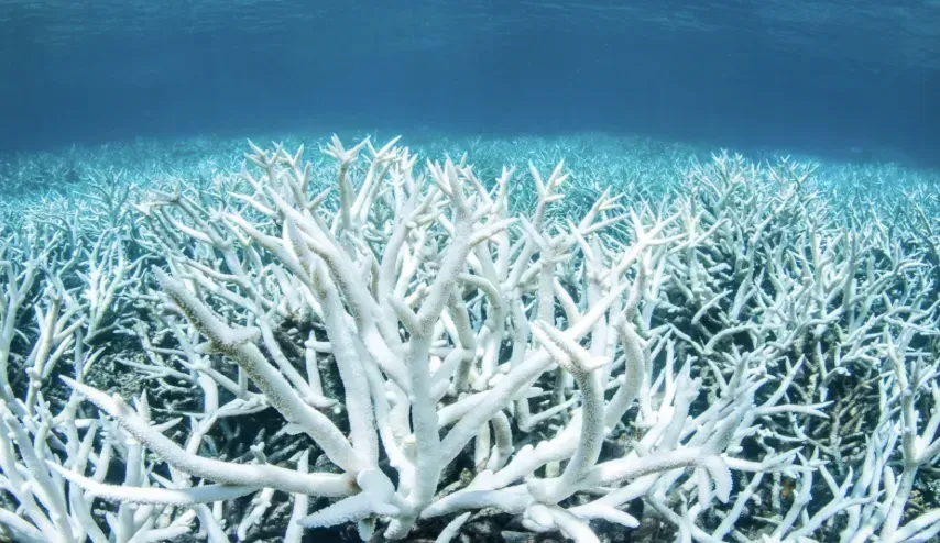 Environmental Damage From Mass Tourism Became Undeniable (Image Credits: Wikimedia)
