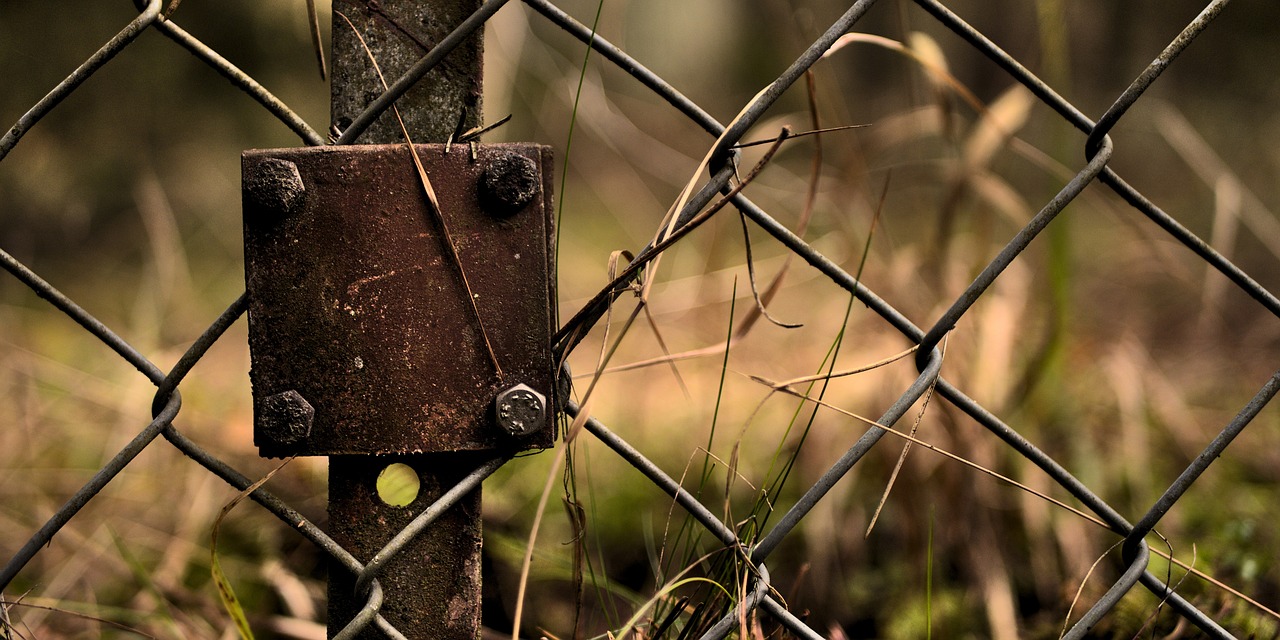 Between Security And Compassion (Image Credits: Pixabay)