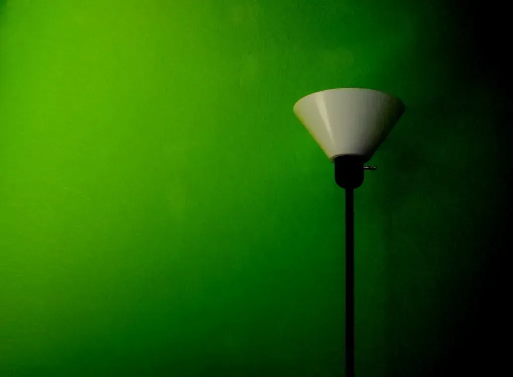 2. Lime Green Walls (Image Credits: Flickr)