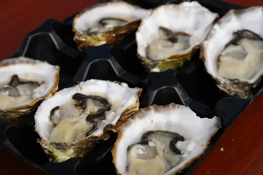 Gulf Coast Raw Oysters and Vibrio Vulnificus (Image Credits: Unsplash)