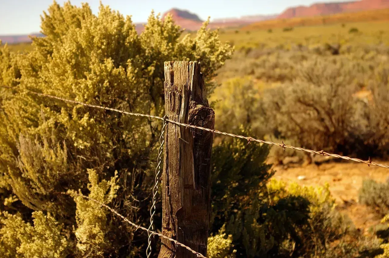 4. Encroachment That Goes Unchallenged (Image Credits: Pixabay)