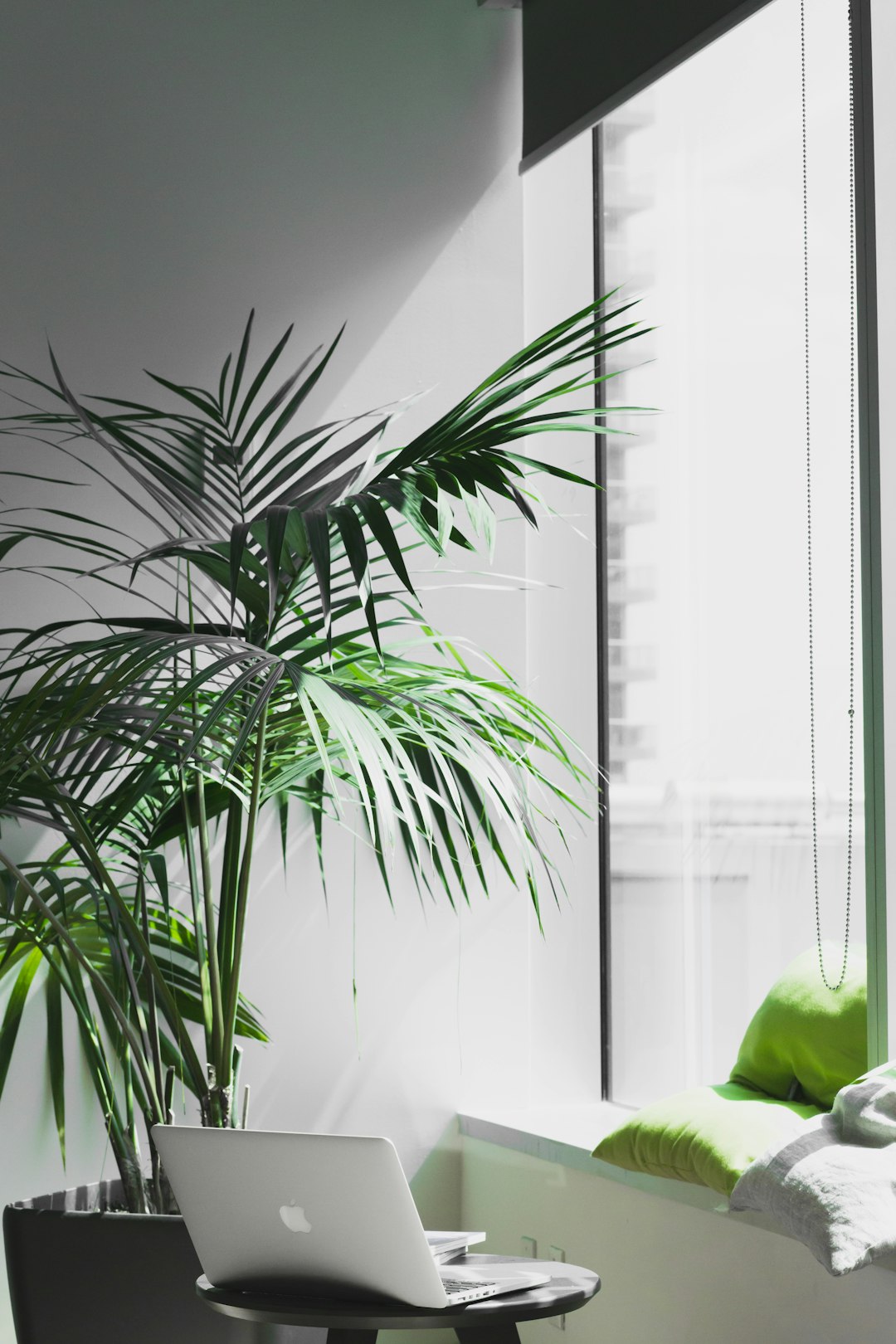 Green Spaces: Nature's Creative Boost (image credits: unsplash)