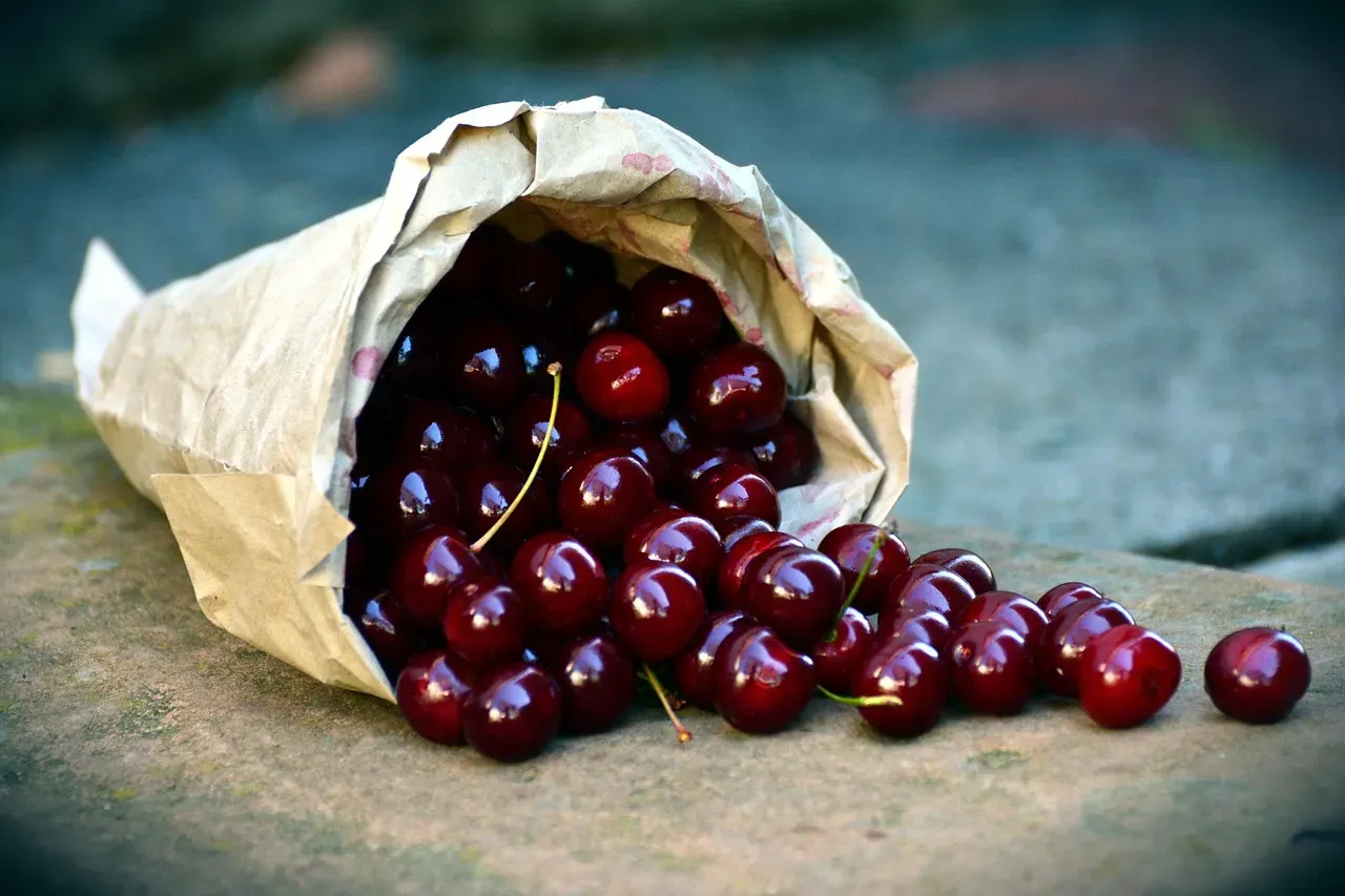 Fresh Fruit in Wax Paper Bags (Image Credits: Pixabay)