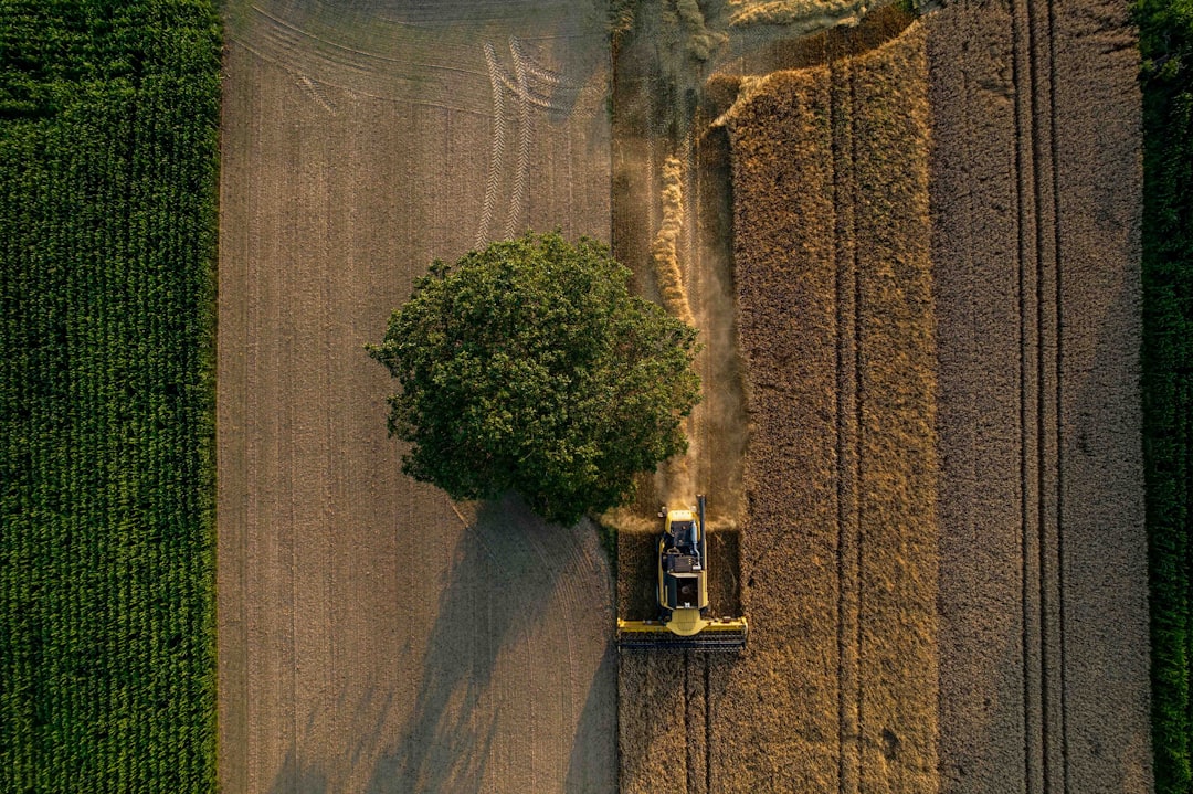 Italy Excels in Traditional Sustainable Practices (Image Credits: Unsplash)
