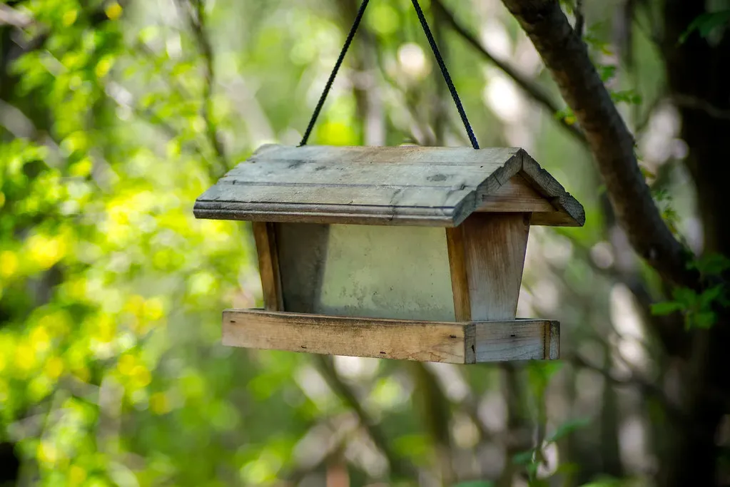 A Hobby That Has Quietly Grown Into a Mainstream Habit (Kurayba, Flickr, CC BY-SA 2.0)