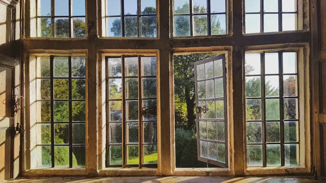 Natural light as the foundation (Image Credits: Unsplash)