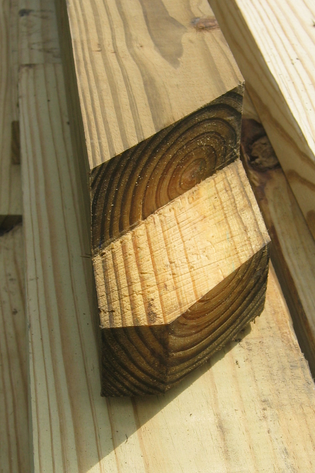 Pressure-Treated Wood (Image Credits: Unsplash)