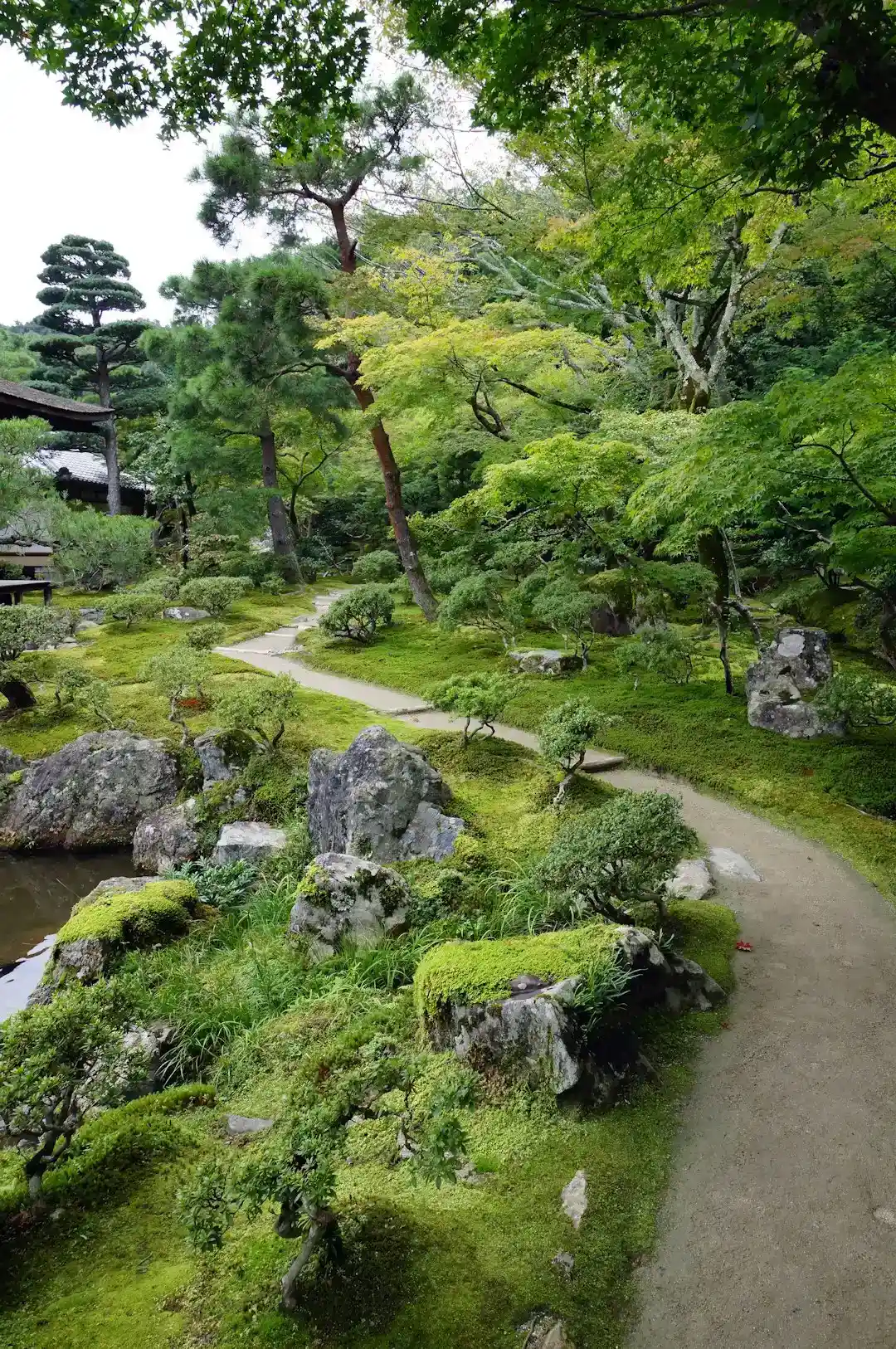 Rock Gardens and Boulders as Focal Points (Image Credits: Unsplash)