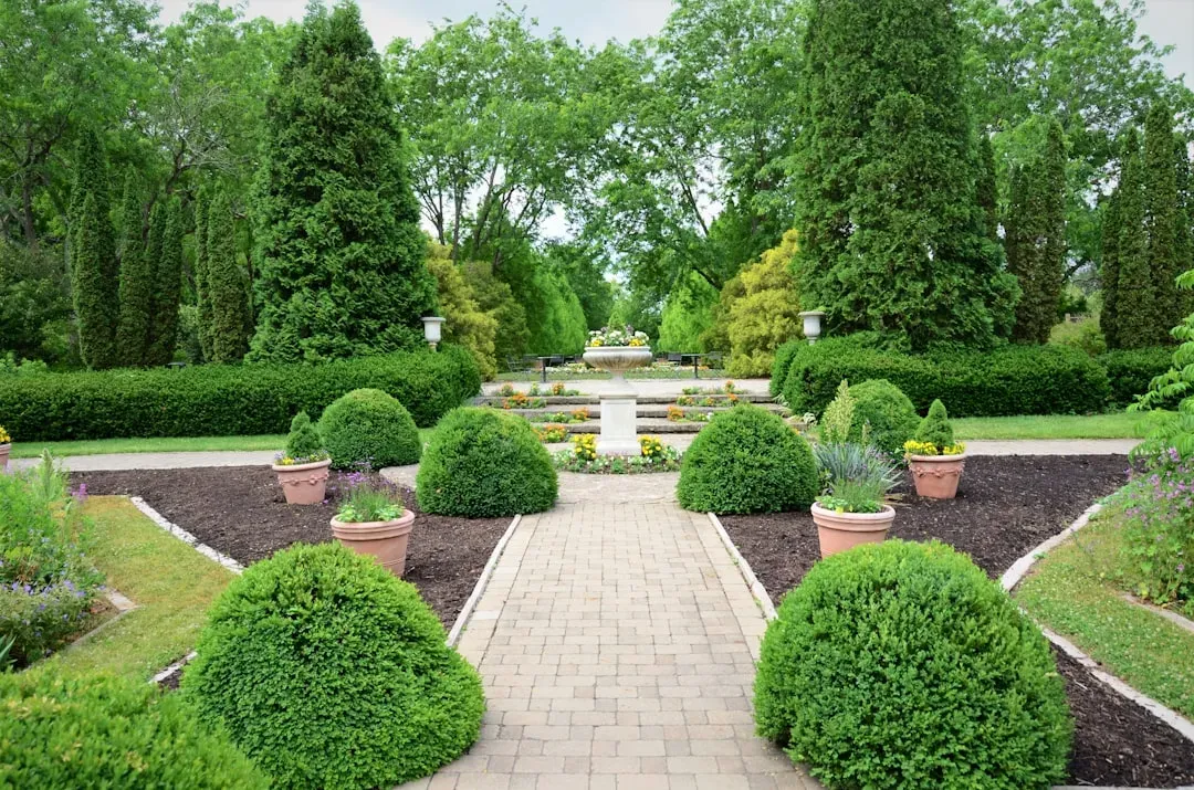 Choose evergreens for year-round structure (Image Credits: Unsplash)