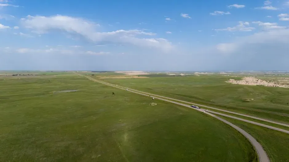 Grasslands and prairies: space without walls (Image Credits: Pexels)