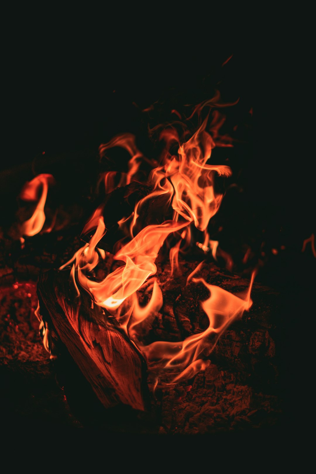 Plastic Products Release Deadly Chemical Cocktails (image credits: unsplash)