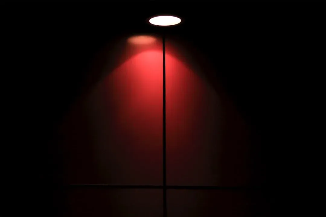Living Rooms and Dining Areas After Dark (Image Credits: Unsplash)