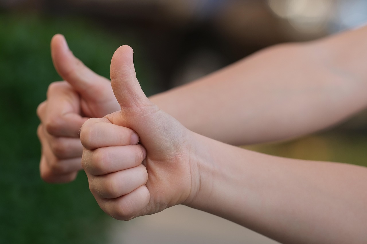 Thumbs Up: From Approval to Deep Insult (Image Credits: Pixabay)