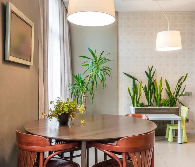 Dining rooms and centerpieces (Image Credits: Pexels)
