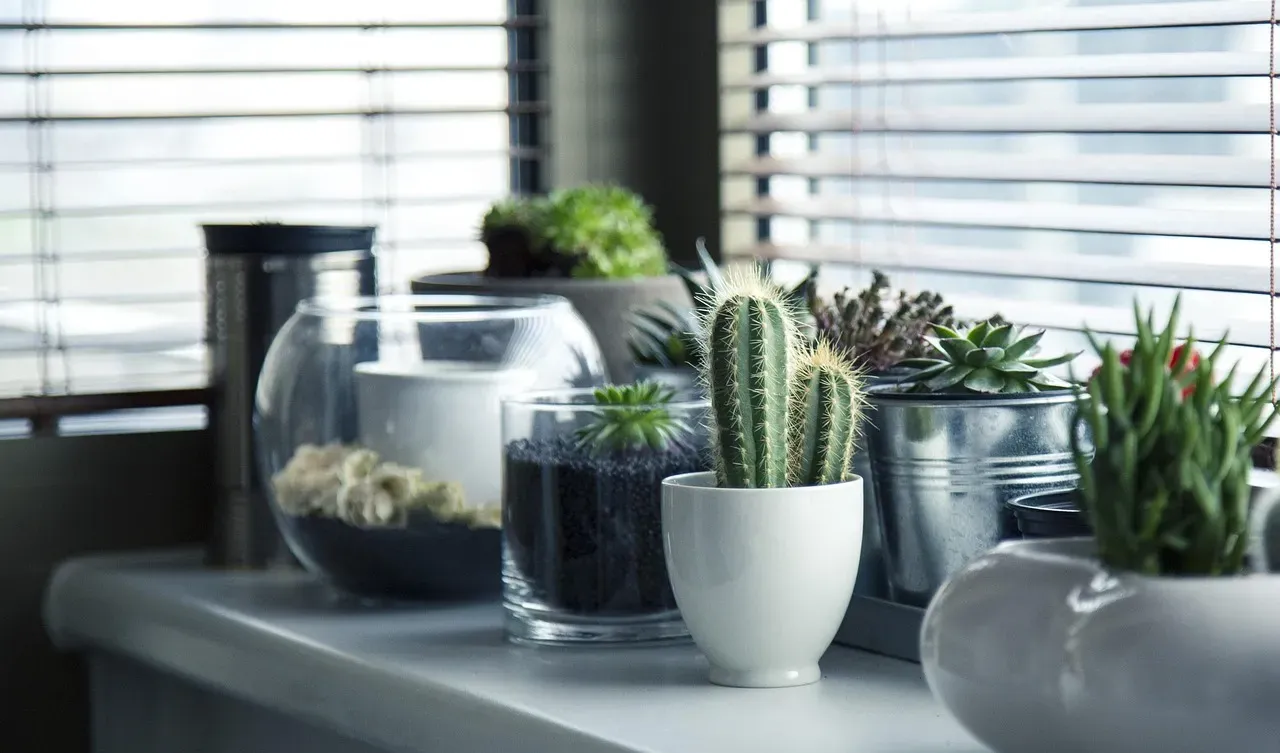 Bringing nature indoors (Image Credits: Pixabay)