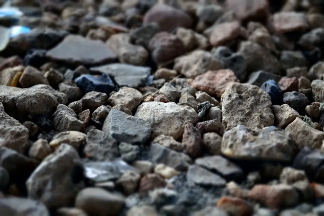 Gravel Paths and Permeable Surfaces (Image Credits: Unsplash)